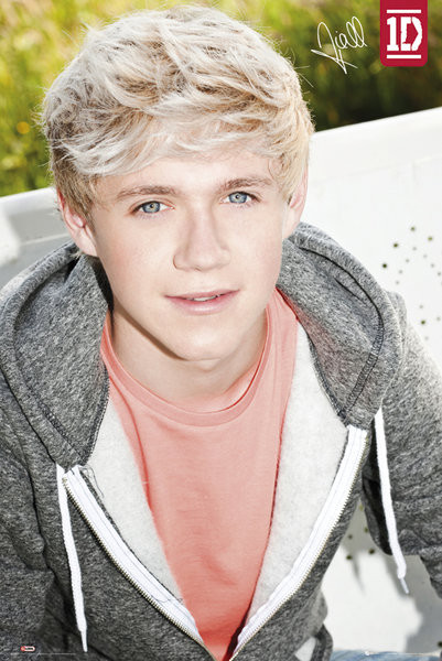 Poster One Direction - niall