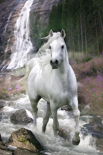 Poster Bob Langrish - waterfall