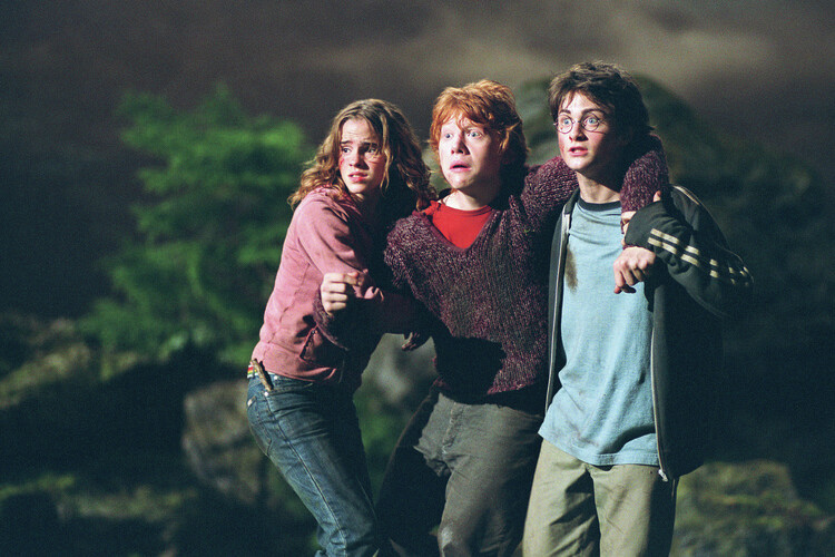 Плакат Harry Potter - Stick together