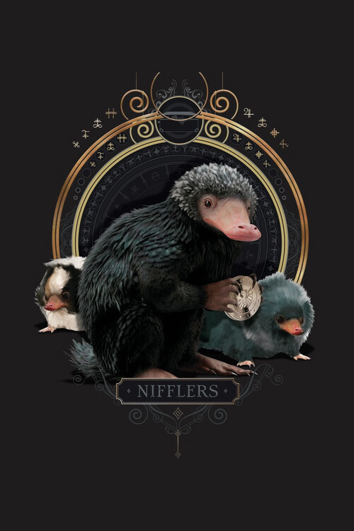 Плакат Фантастичні звірі - Nifflers