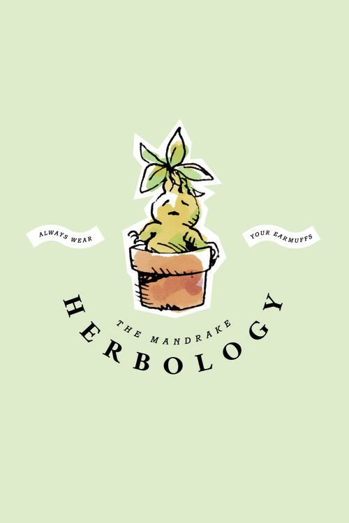 Плакат The Mandrake - Herbology