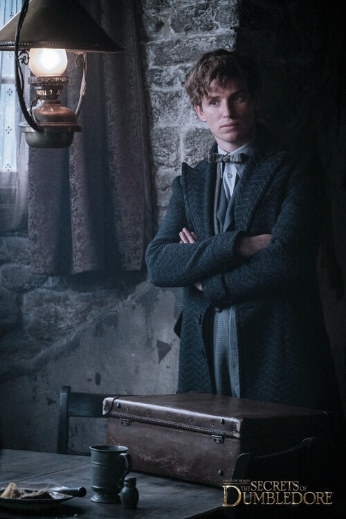 Принти на полотні Фантастичні звірі - Newt Scamander