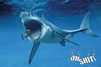 Poster OH SHIT! - shark