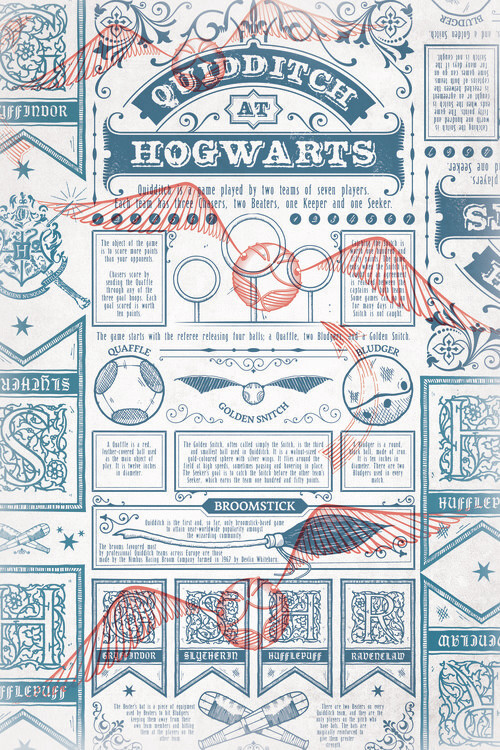 Принти на полотні Harry Potter - Quidditch at Hogwarts