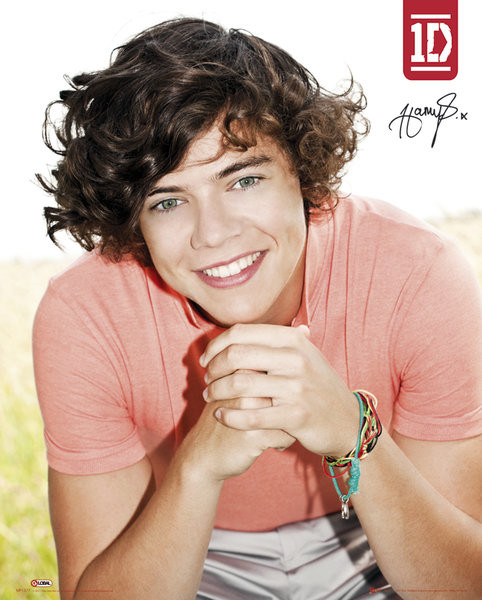 Poster One Direction - harry
