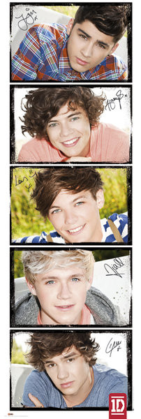 Poster One Direction - solo's