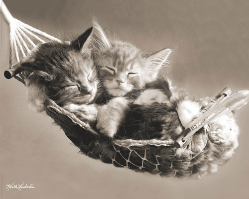 Плакат KEITH KIMBERLIN - hammock