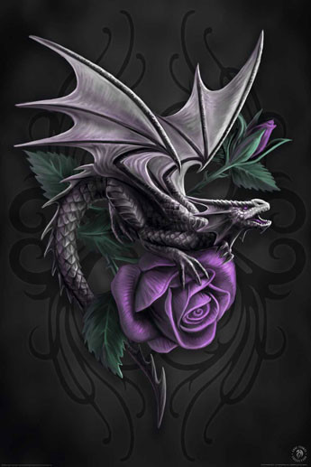 Плакат Anne Stokes - dragon beauty