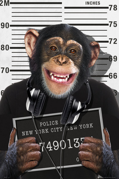 Poster Chimp - mugshot