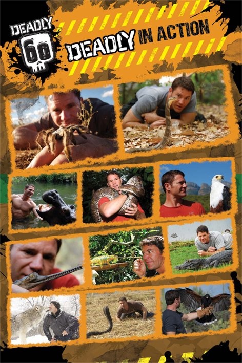 Poster Deadly 60 - steve in action