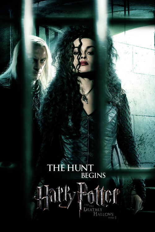 Принти на полотні Harry Potter - The hunt begins