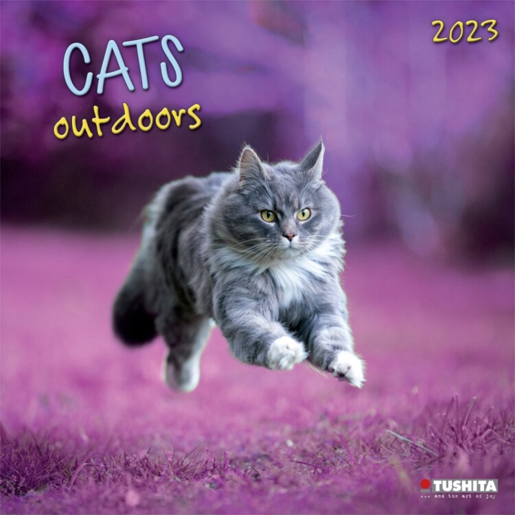 Kalenteri 2027 Cats Outdoors