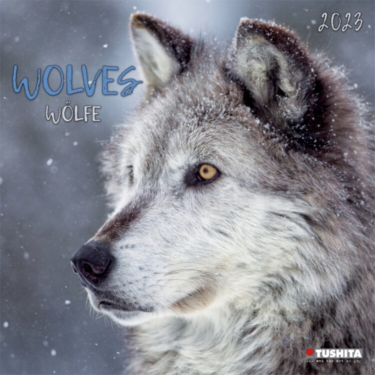 Calendar 2027 Wolves