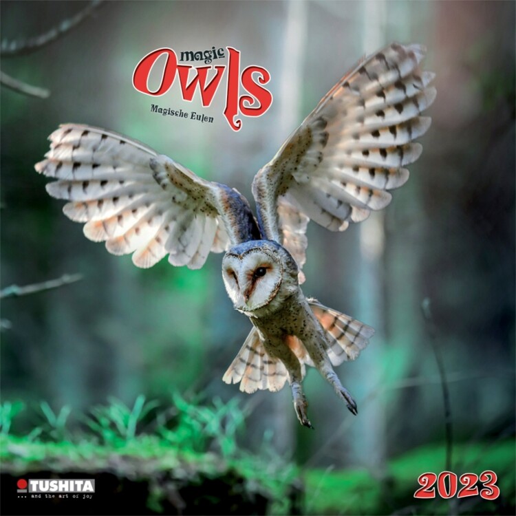Koledar 2027 Magic Owls
