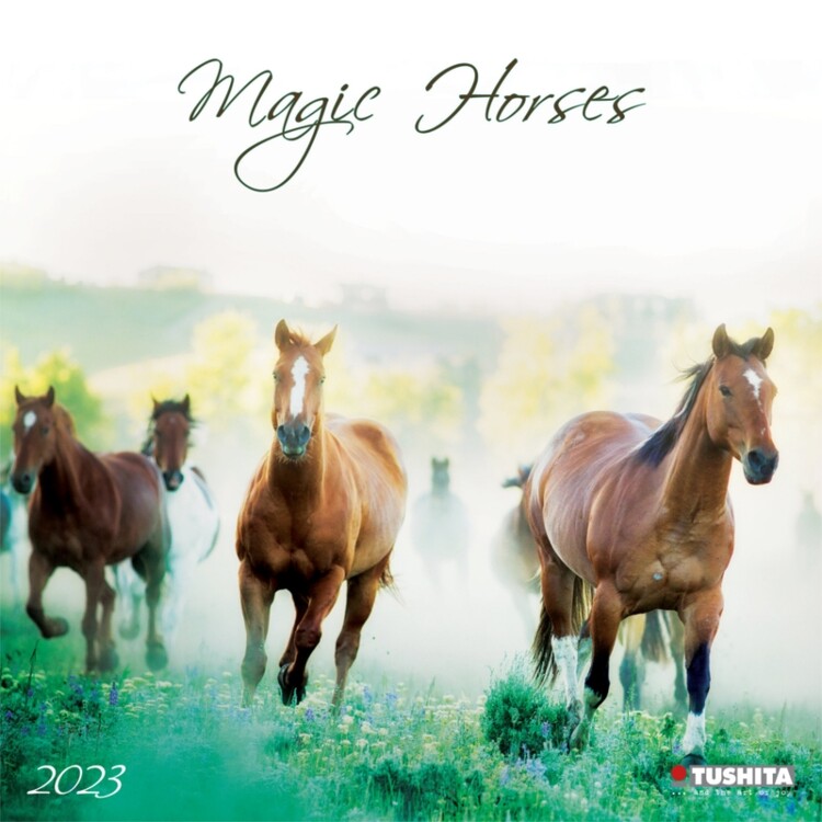 Calendar 2027 Magic Horses