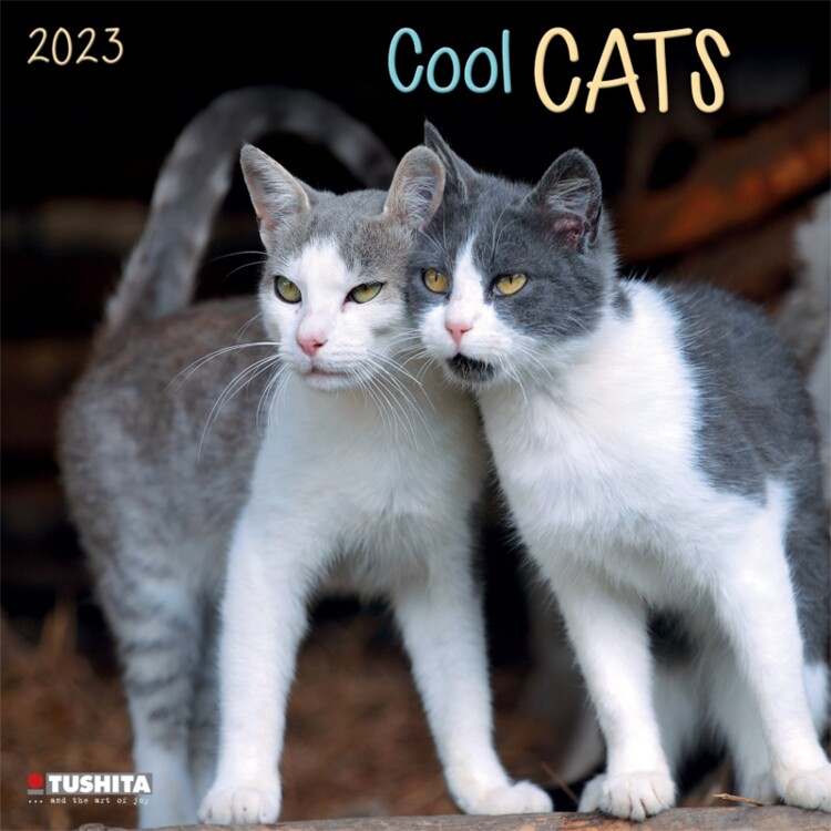 Ημερολόγιο 2027 Cool Cats