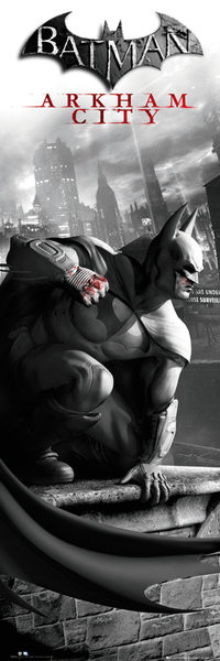 Плакат BATMAN ARKHAM CITY - cover