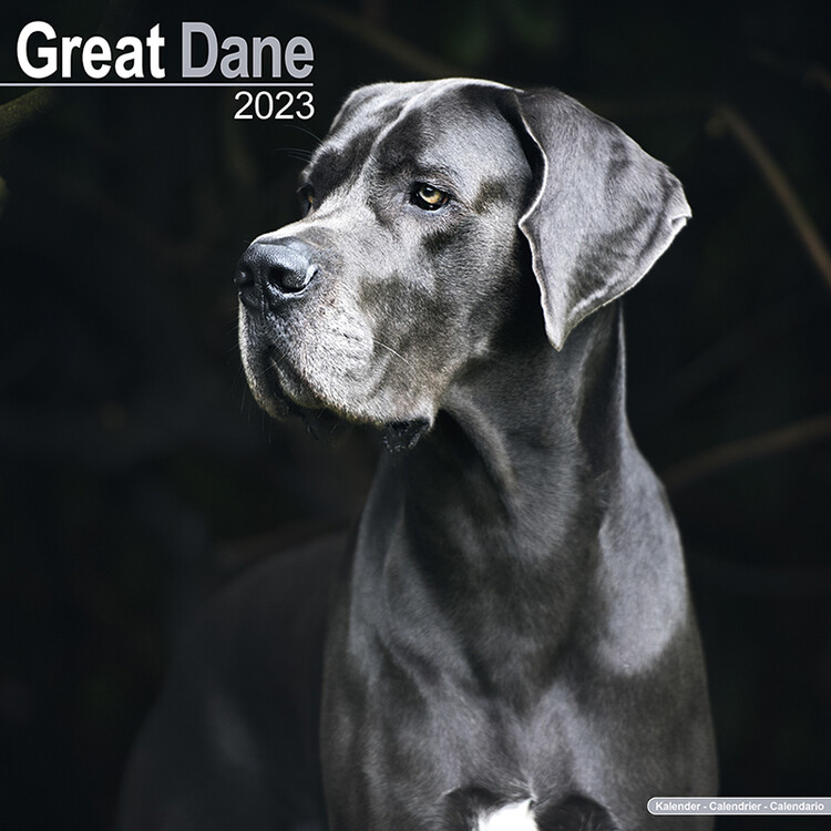 Ημερολόγιο 2027 Great Dane