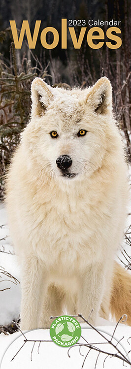 Календар 2027 Wolves