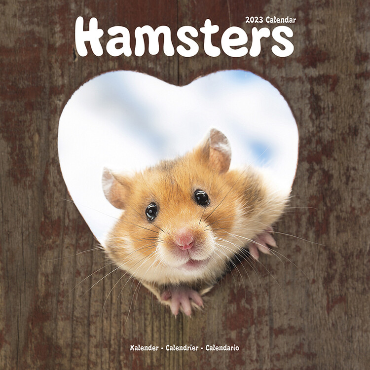Calendar 2027 Hamsters