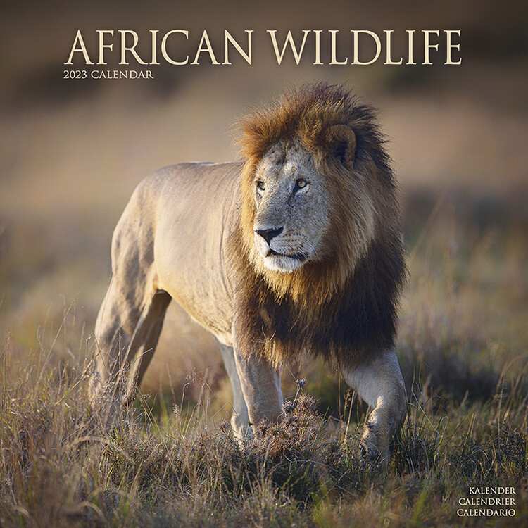 Ημερολόγιο 2027 African Wildlife