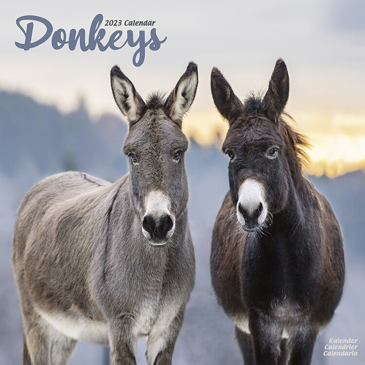 Calendar 2027 Donkeys