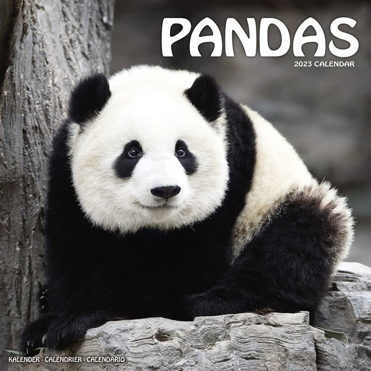 Calendar 2027 Pandas