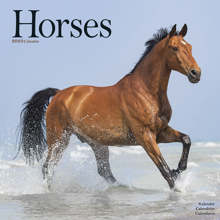 Calendário 2027 Horses