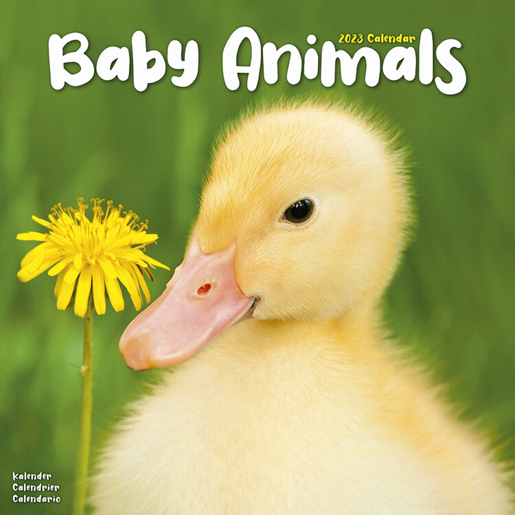 Calendar 2027 Baby Animals