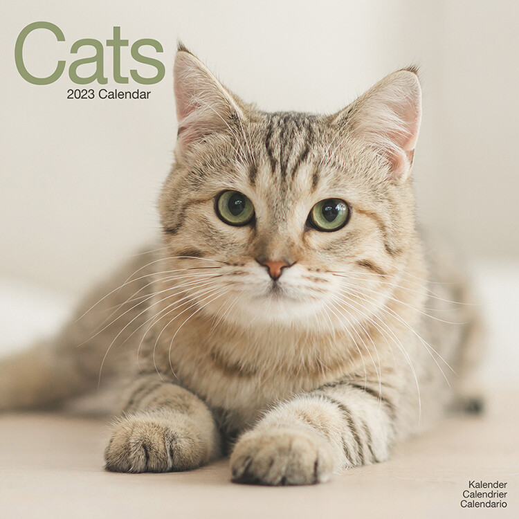 Kalendar 2027 Cats