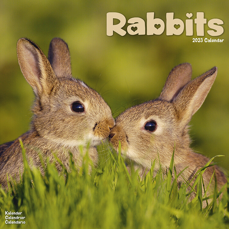 Kalendar 2027 Rabbits