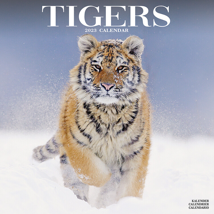 Calendar 2023 Tigers