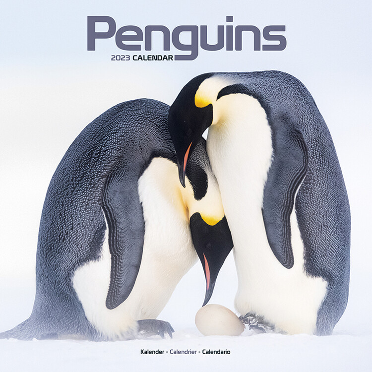 Kalendar 2027 Penguins