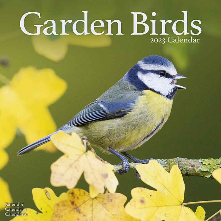 Календар 2027 Garden Birds