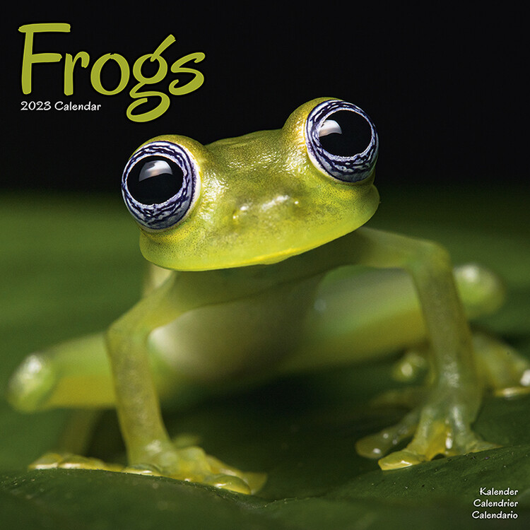 Calendar 2027 Frogs