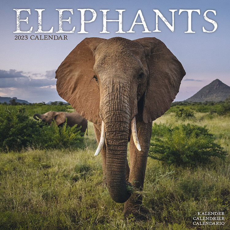Kalendar 2027 Elephants