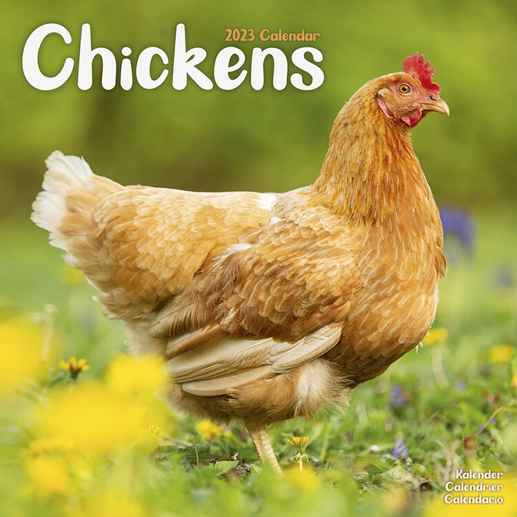 Календар 2027 Chickens