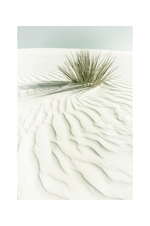 Плакат Melanie Viola - White sands