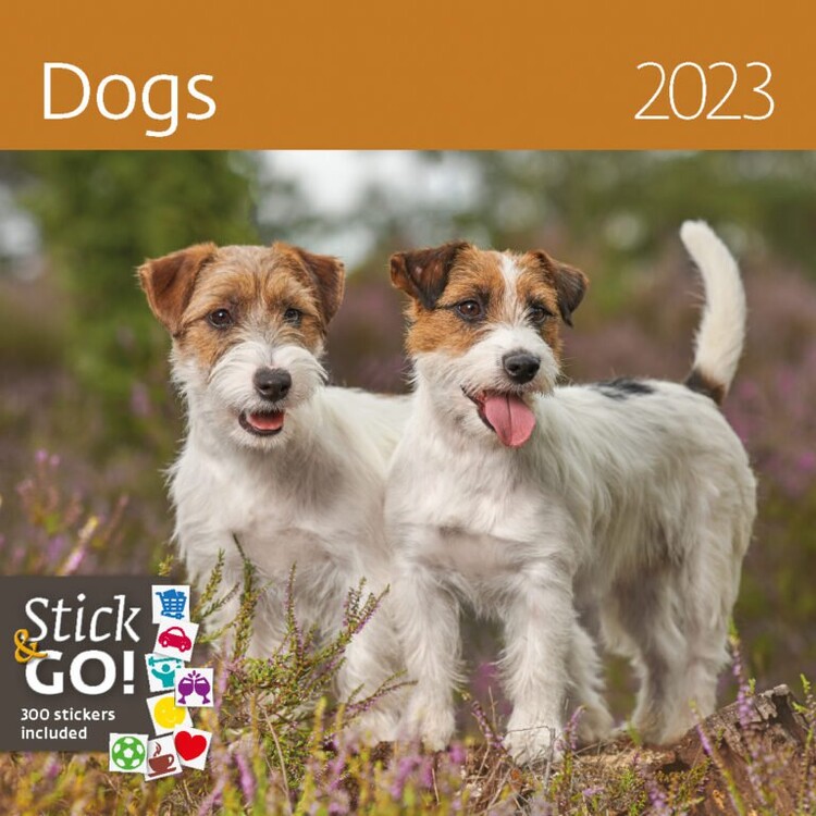 Calendar 2027 Dogs