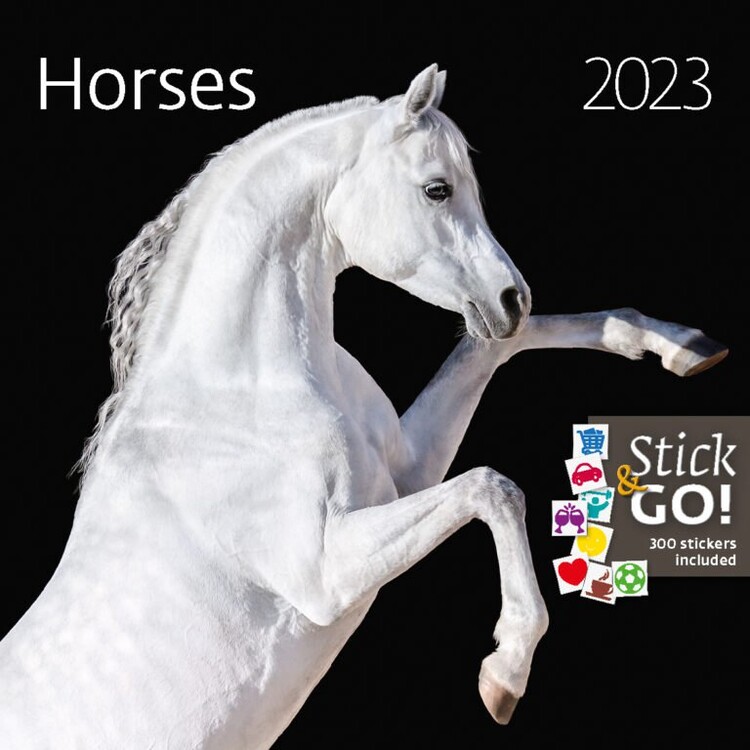 Kalenteri 2027 Horses