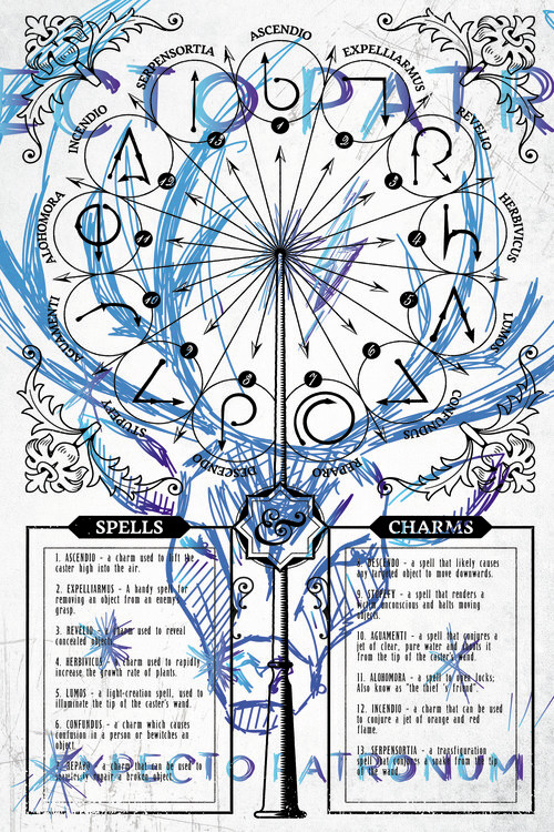 Juliste Harry Potter - Expectopatronum