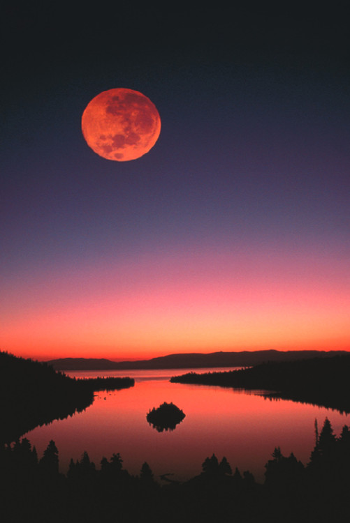Плакат Lake Tahoe at night