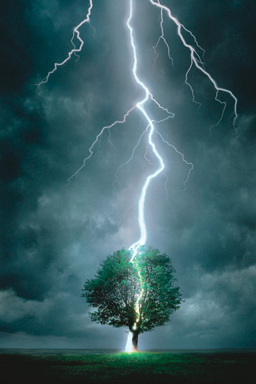 Poster Lighting striking tree I