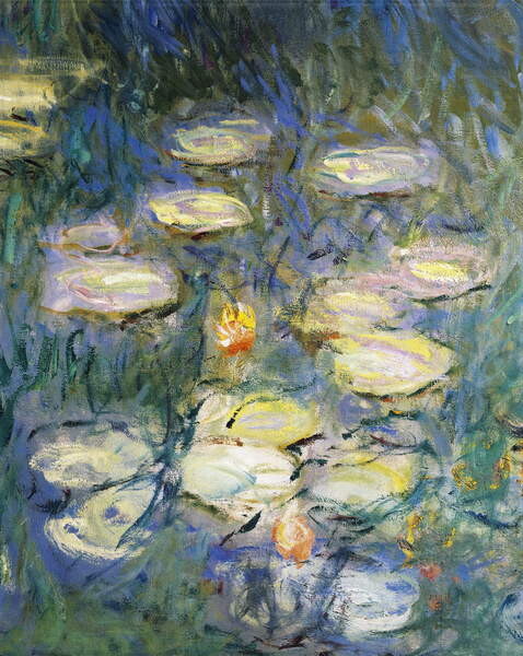Плакат Water Lilies