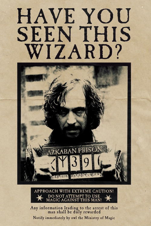 Плакат Harry Potter - Wanted Sirius Black