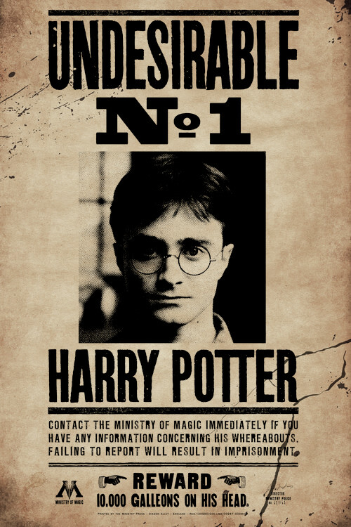 Плакат Harry Potter - Undesirable No 1