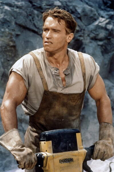 Arnold Scharzenegger, Total Recall | Posters, Art Prints