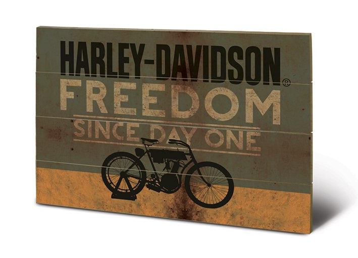 Ξύλινη τέχνη HARLEY DAVIDSON - freedom