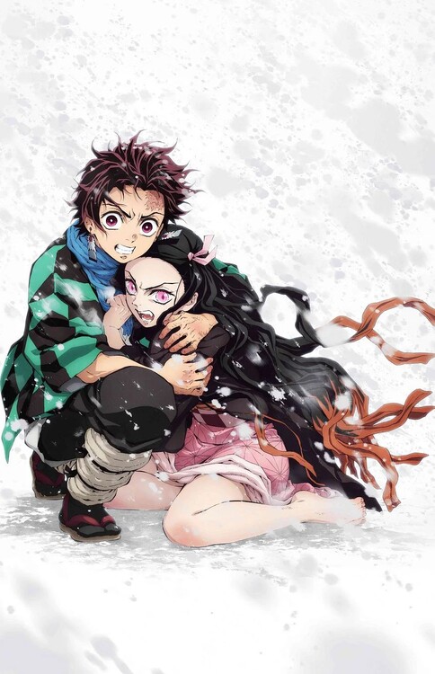 Плакат Demon Slayer - Tanjiro & Nezuko