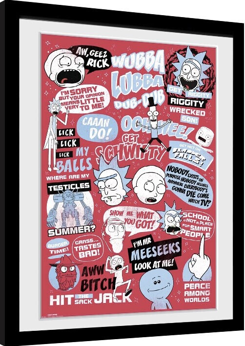 Κορνιζαρισμένη αφίσα Rick and Morty - Quotes